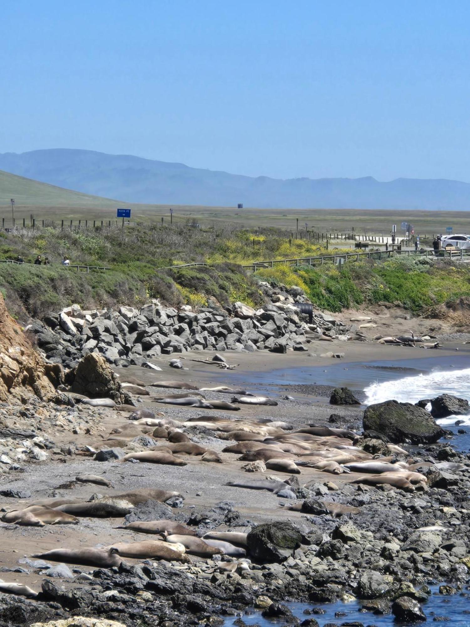 Coast Riders Inn San Simeon Esterno foto